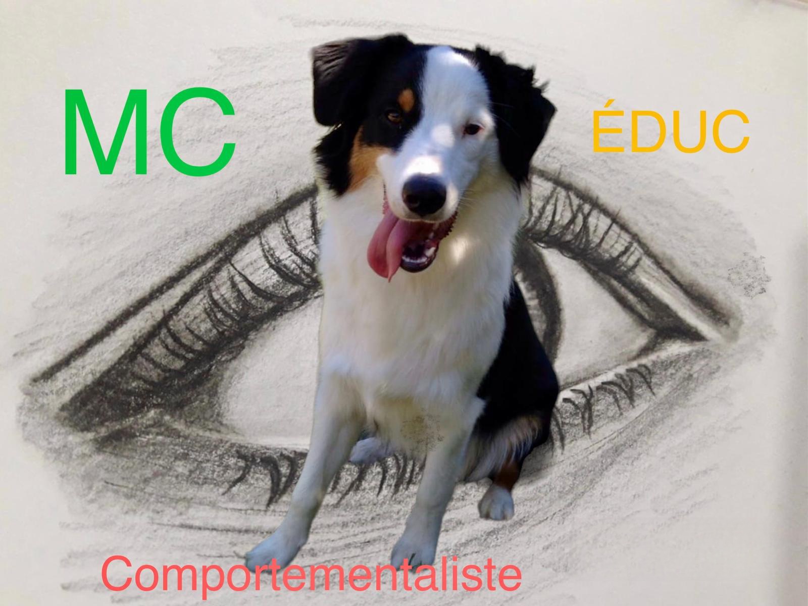 logo Educateur Comportementaliste Canin